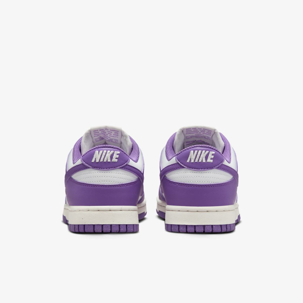 Кросівки Nike Dunk Low DD1873-108