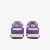 Кросівки Nike Dunk Low DD1873-108