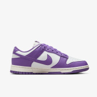 Кросівки Nike Dunk Low DD1873-108