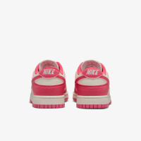 Кросівки Nike Dunk Low DD1873-600