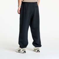 Штани Nike ACG Therma-FIT Repel Tuff Fleece Lungs Pants FV8650-010